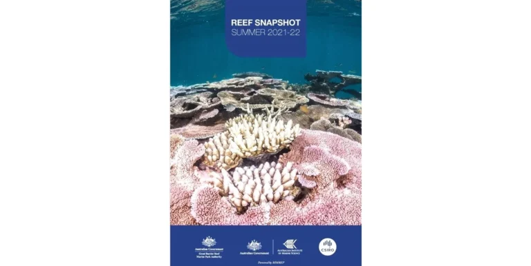 Great Barrier Reef suffers four mass bleachings in seven years