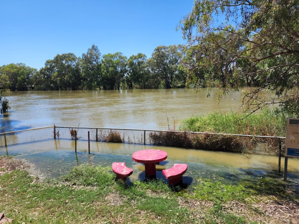 The Darling River remained in flood at Wilcannia on January 3, 2023 and Menindee was once again battling a flood peak