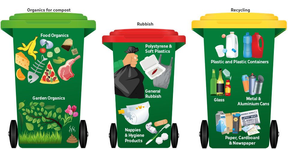 The green bin will move from garden organics to food and garden organics or FOGO