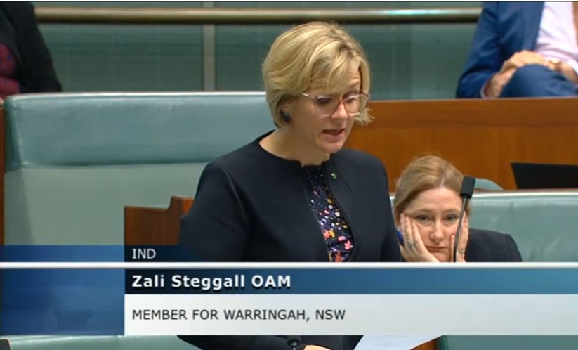 Zali Steggall in parliament