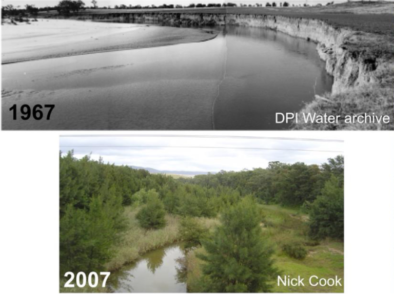 Nature based management makes rivers more resilient