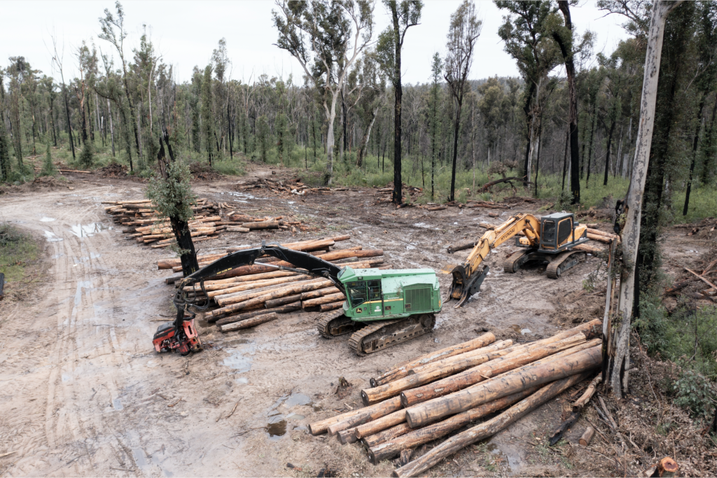 Native logging is to be stopped in Victoria in January 2024