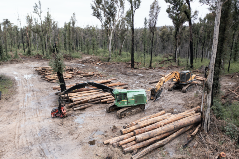 Victoria ends native logging