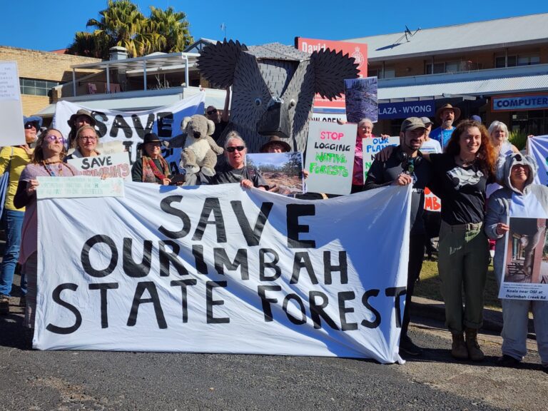 Protestors want forest logging to stop