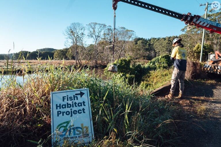 Restoring Emigrant Creek to Create a Haven for Native Fish and Wildlife 