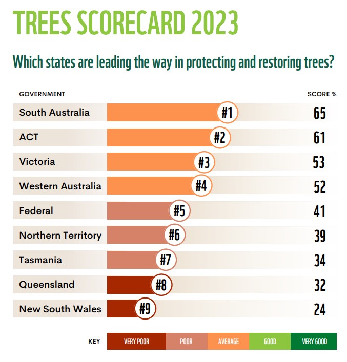 NSW and Qld come last on first Trees Scorecard