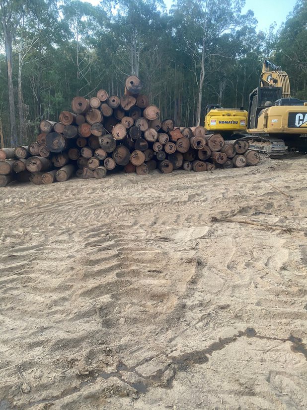 Resident speaks out about cost of logging