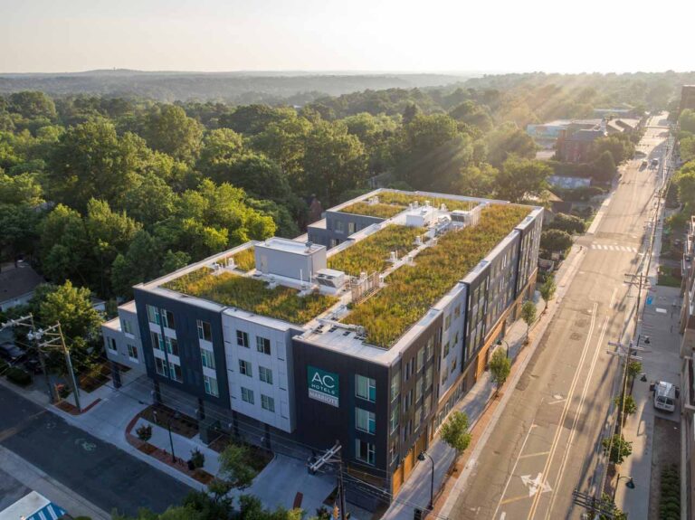 Green roofs can cool cities