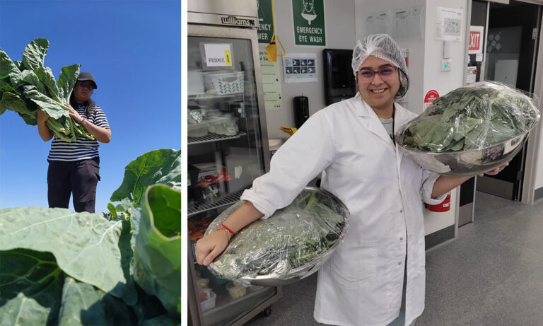Note to vegans – protein from cauliflower leaves could be your next dish
