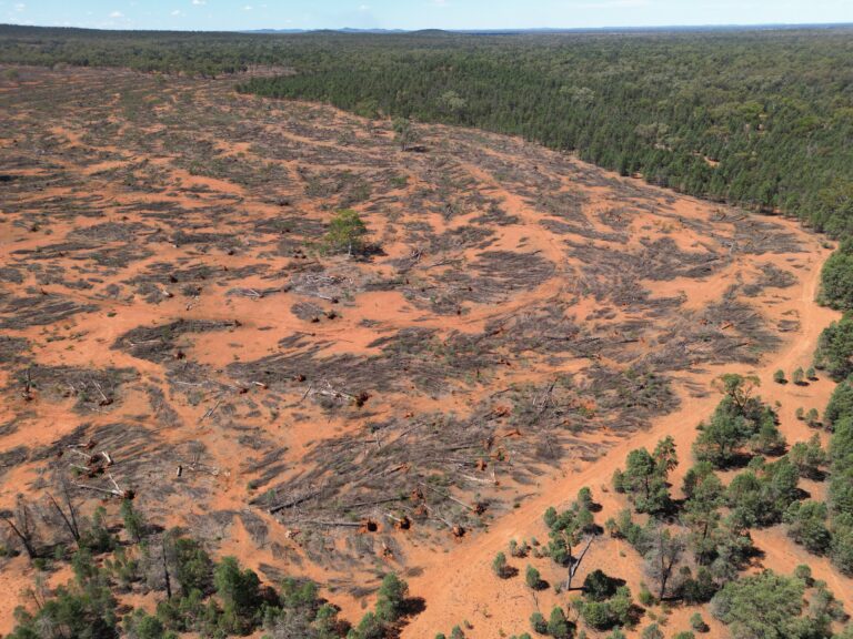 Nonsense label driving out-of-control habitat clearing in NSW